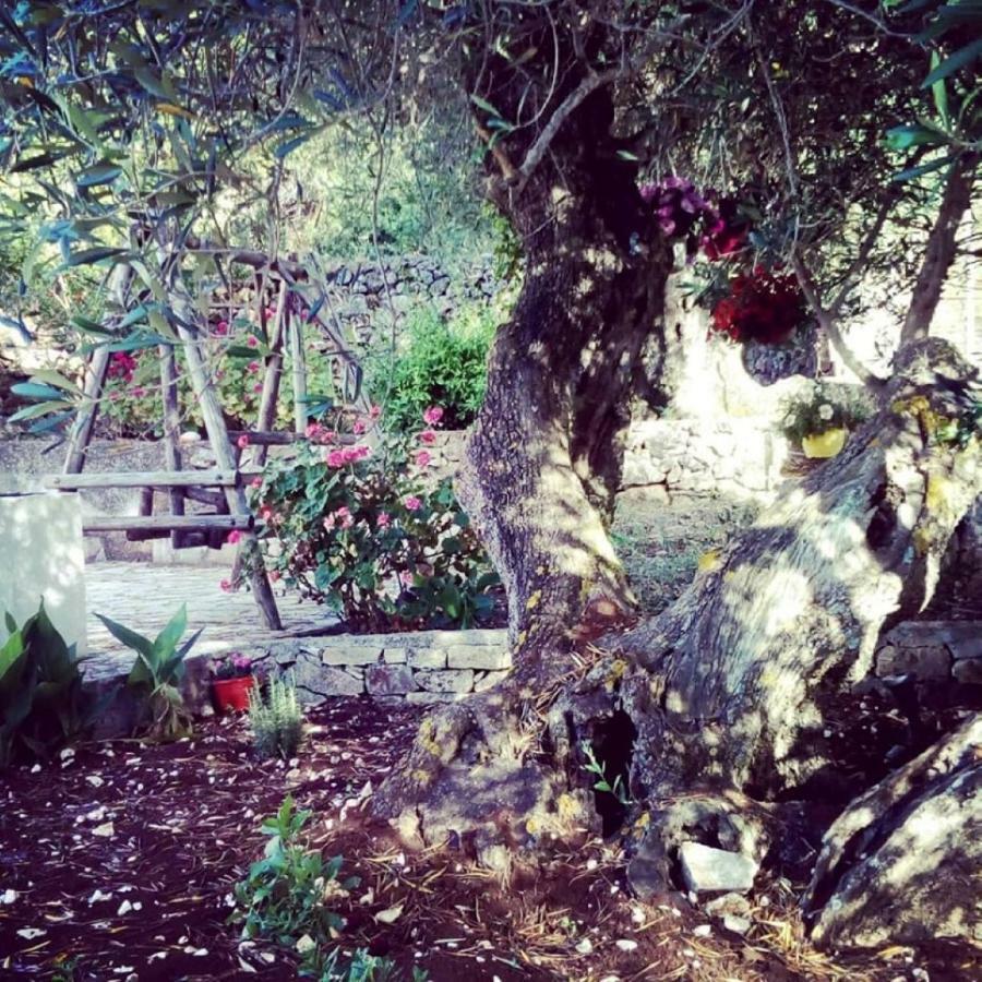 Private Villa Demetra 1768 With Pool - Close To Φισκάρδο Εξωτερικό φωτογραφία